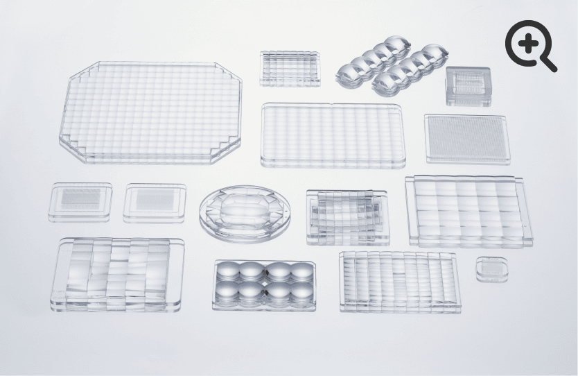 Integrated Lens array/Micro lens array image